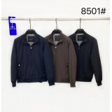 Чоловіча зимова куртка IM2BRO 8501